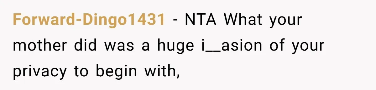 Forward-Dingo1431 − NTA What your mother did was a huge i__asion of your privacy to begin with,
