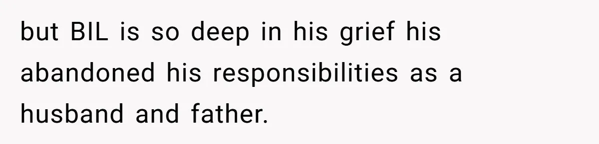 but BIL is so deep in his grief his abandoned his responsibilities as a husband and father.