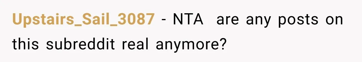 Upstairs_Sail_3087 − NTA  are any posts on this subreddit real anymore?