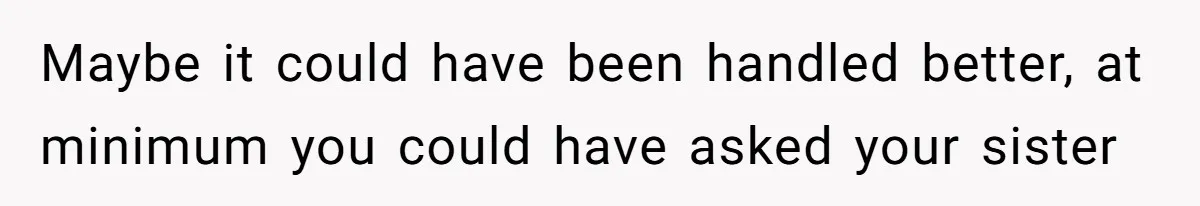 Maybe it could have been handled better, at minimum you could have asked your sister