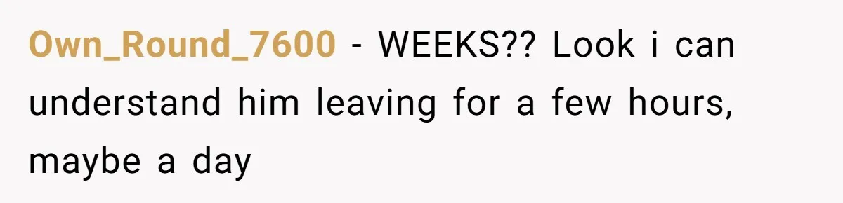 Own_Round_7600 − WEEKS?? Look i can understand him leaving for a few hours, maybe a day