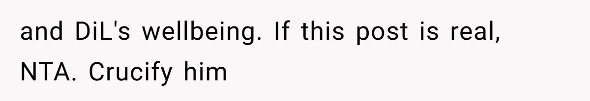 and DiL's wellbeing. If this post is real, NTA. Crucify him