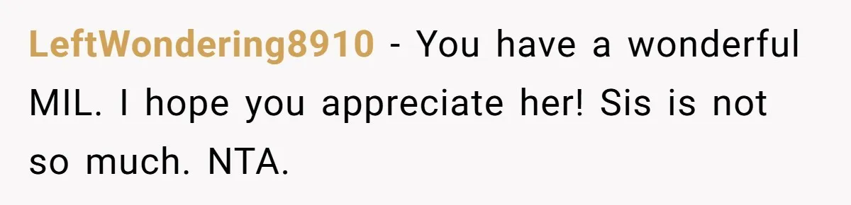 She Told Her Sister She’s Selfish After Refusing To Help With Kids, And Then Canceled The Engagement Party LeftWondering8910 − You have a wonderful MIL. I hope you appreciate her! Sis is not so much. NTA.