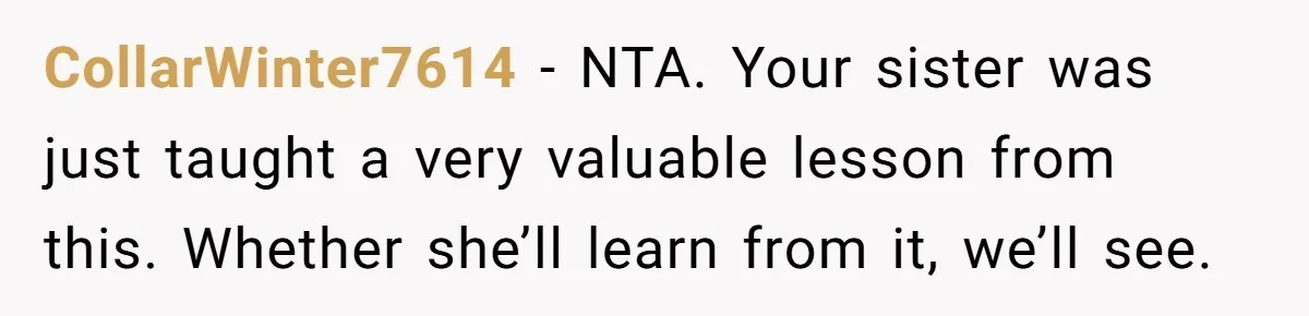 She Told Her Sister She’s Selfish After Refusing To Help With Kids, And Then Canceled The Engagement Party CollarWinter7614 − NTA. Your sister was just taught a very valuable lesson from this. Whether she’ll learn from it, we’ll see.
