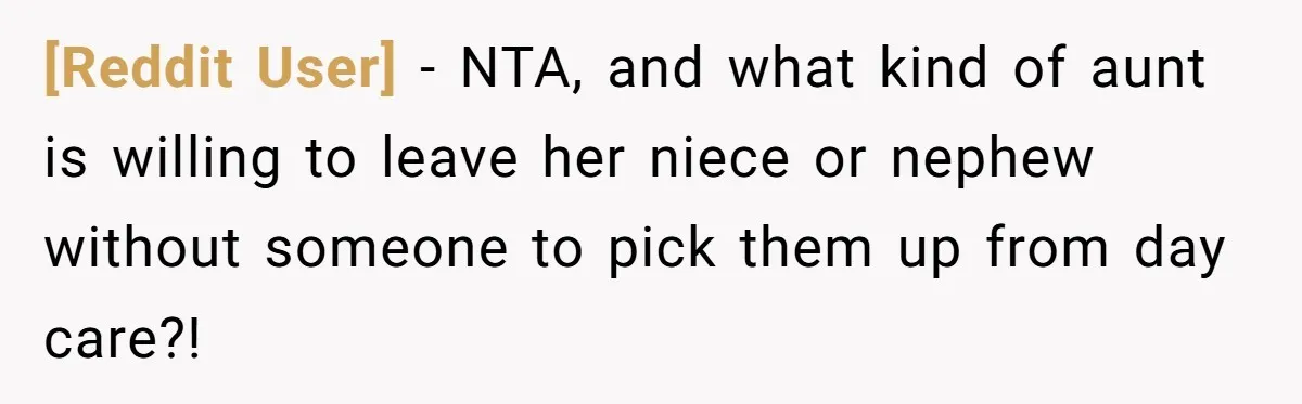 [Reddit User] − NTA, and what kind of aunt is willing to leave her niece or nephew without someone to pick them up from day care?!