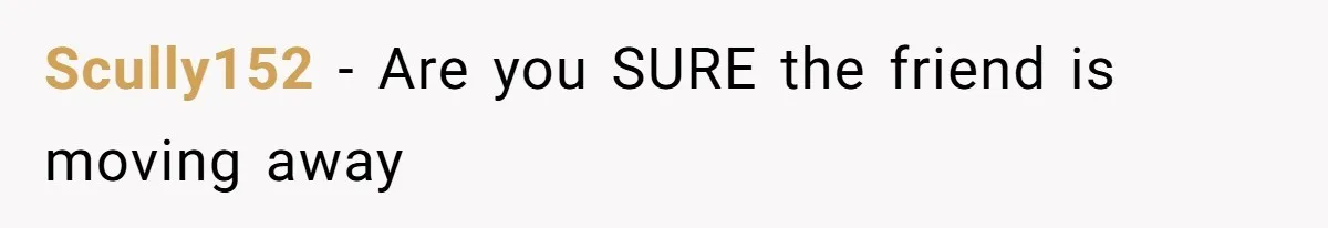 Couple Faces Drama When Sister-In-Law Moves In With Baby And Demands Less Rent Because She’s A Stay-at-Home Mom Scully152 − Are you SURE the friend is moving away