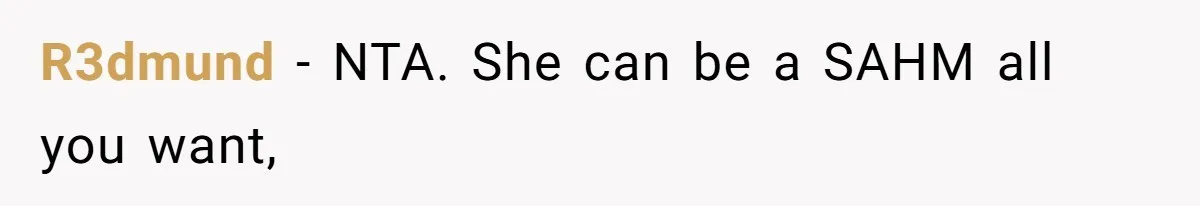 Couple Faces Drama When Sister-In-Law Moves In With Baby And Demands Less Rent Because She’s A Stay-at-Home Mom R3dmund − NTA. She can be a SAHM all you want,