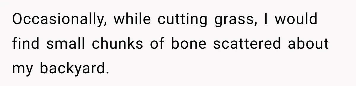 Neighbor Throws Bones Over the Fence, But This Man’s Petty Revenge Leaves Him Speechless Occasionally, while cutting grass, I would find small chunks of bone scattered about my backyard.
