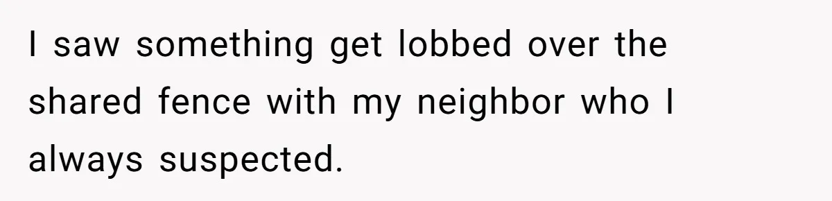 Neighbor Throws Bones Over the Fence, But This Man’s Petty Revenge Leaves Him Speechless I saw something get lobbed over the shared fence with my neighbor who I always suspected.