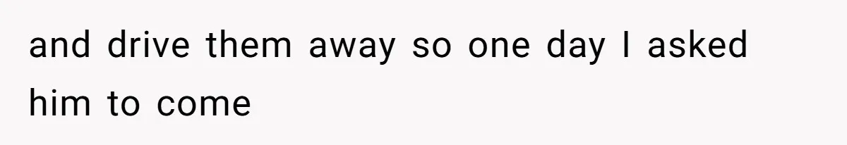 Neighbor Throws Bones Over the Fence, But This Man’s Petty Revenge Leaves Him Speechless and drive them away so one day I asked him to come