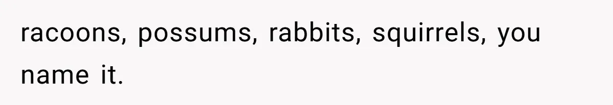 Neighbor Throws Bones Over the Fence, But This Man’s Petty Revenge Leaves Him Speechless racoons, possums, rabbits, squirrels, you name it.