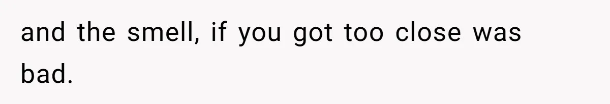 Neighbor Throws Bones Over the Fence, But This Man’s Petty Revenge Leaves Him Speechless and the smell, if you got too close was bad.