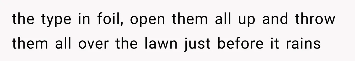 Neighbor Throws Bones Over the Fence, But This Man’s Petty Revenge Leaves Him Speechless the type in foil, open them all up and throw them all over the lawn just before it rains