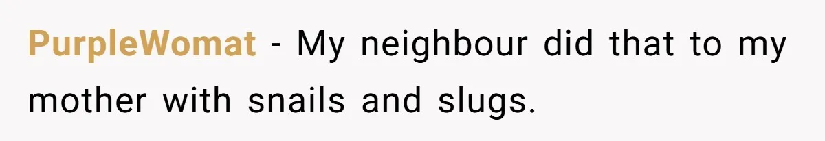 Neighbor Throws Bones Over the Fence, But This Man’s Petty Revenge Leaves Him Speechless PurpleWomat − My neighbour did that to my mother with snails and slugs.