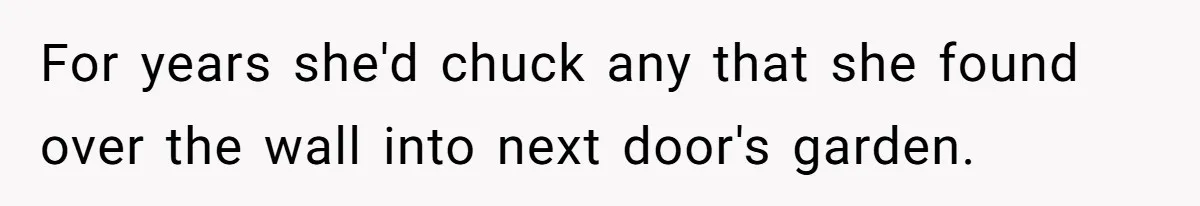 Neighbor Throws Bones Over the Fence, But This Man’s Petty Revenge Leaves Him Speechless For years she'd chuck any that she found over the wall into next door's garden.