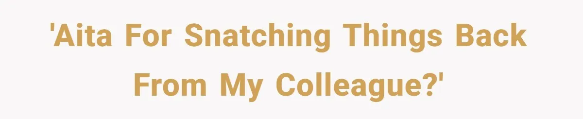 'AITA for snatching things back from my colleague?'