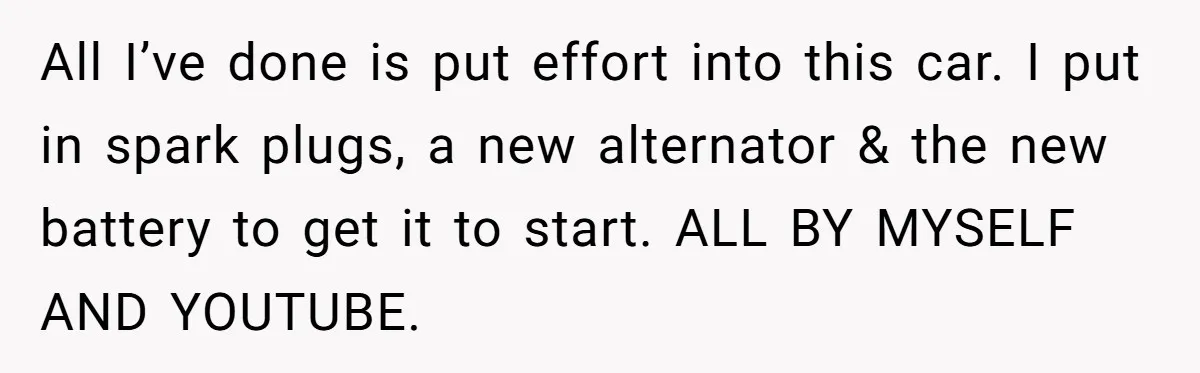 All I’ve done is put effort into this car. I put in spark plugs, a new alternator & the new battery to get it to start. ALL BY MYSELF AND...