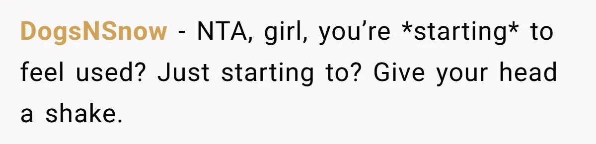 DogsNSnow − NTA, girl, you’re *starting* to feel used? Just starting to? Give your head a shake.