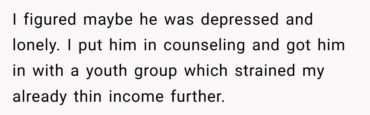 I figured maybe he was depressed and lonely. I put him in counseling and got him in with a youth group which strained my already thin income further.