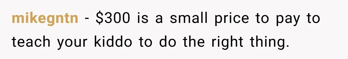 mikegntn − $300 is a small price to pay to teach your kiddo to do the right thing.