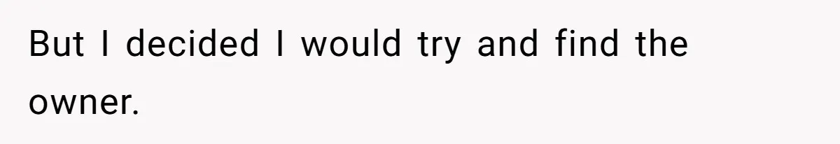 But I decided I would try and find the owner.