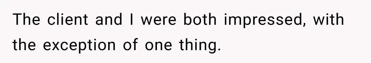 The client and I were both impressed, with the exception of one thing.
