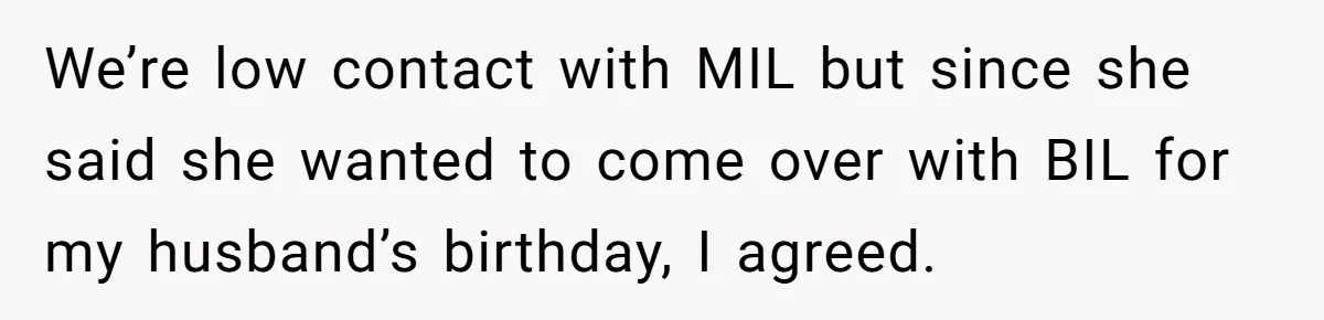 We’re low contact with MIL but since she said she wanted to come over with BIL for my husband’s birthday, I agreed.