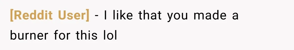 [Reddit User] − I like that you made a burner for this lol