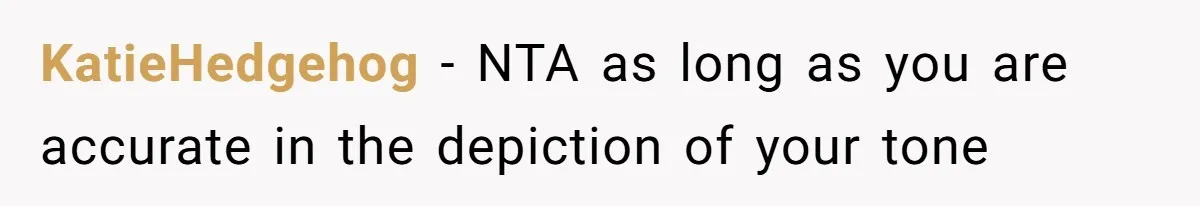 KatieHedgehog − NTA as long as you are accurate in the depiction of your tone