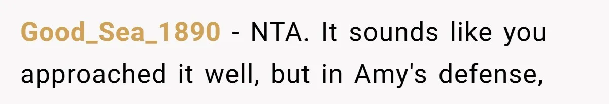 Good_Sea_1890 − NTA. It sounds like you approached it well, but in Amy's defense,