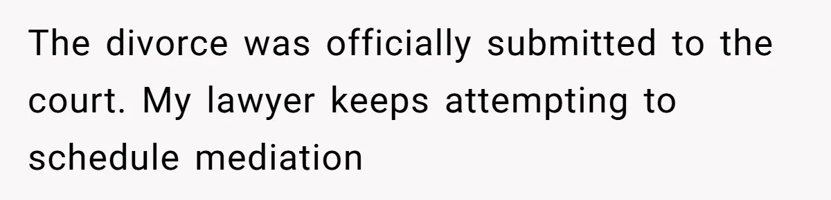 The divorce was officially submitted to the court. My lawyer keeps attempting to schedule mediation