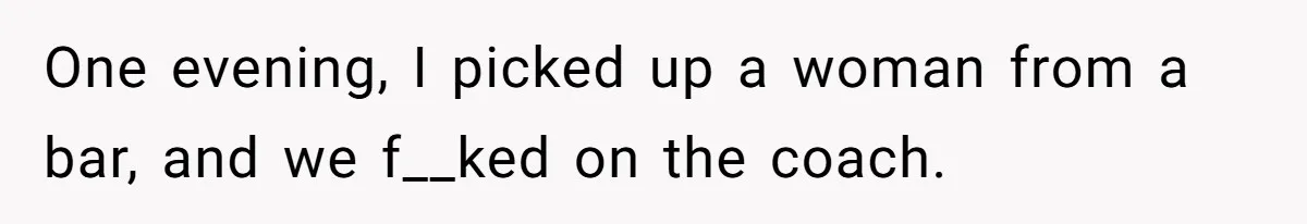 One evening, I picked up a woman from a bar, and we f__ked on the coach.