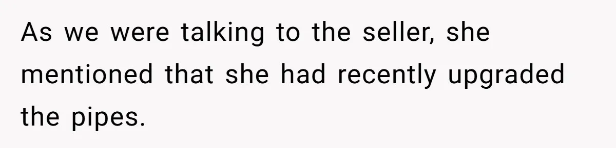 As we were talking to the seller, she mentioned that she had recently upgraded the pipes.