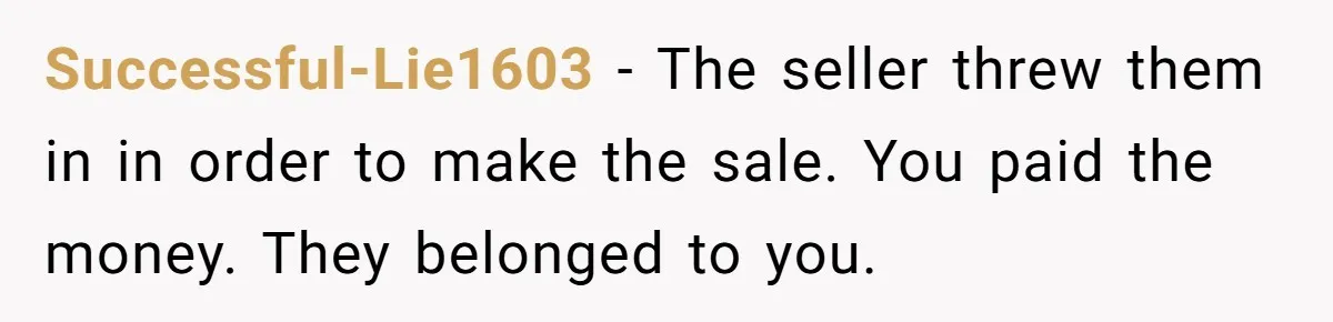 Successful-Lie1603 − The seller threw them in in order to make the sale. You paid the money. They belonged to you.