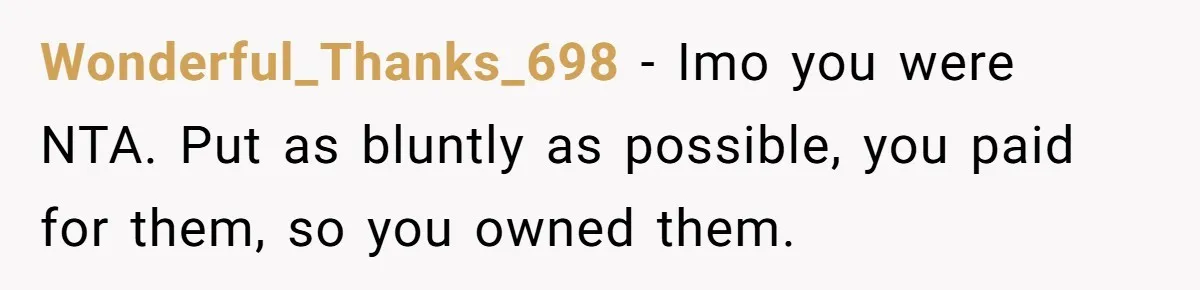 Wonderful_Thanks_698 − Imo you were NTA. Put as bluntly as possible, you paid for them, so you owned them.