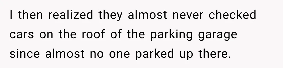 I then realized they almost never checked cars on the roof of the parking garage since almost no one parked up there.
