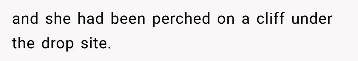 Man’s Past Trauma Brought Up As A Joke. Now His Friend’s Mad For Leaving Without A Word and she had been perched on a cliff under the drop site.