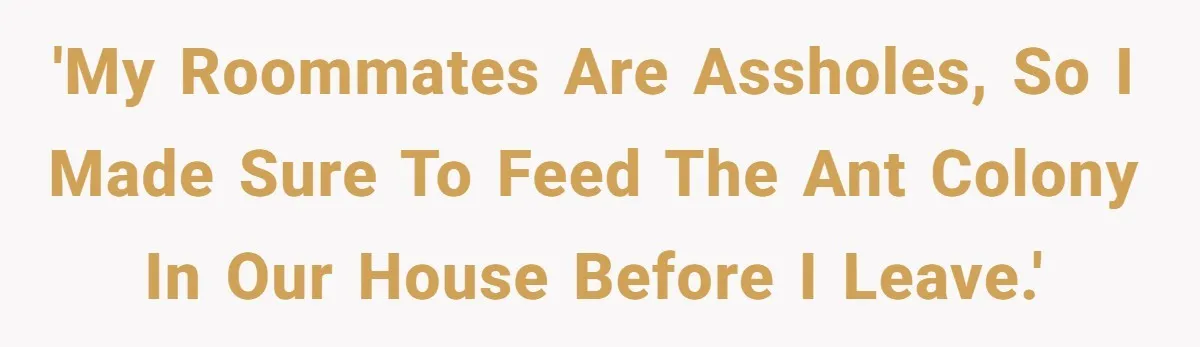 Roommates Leave The Kitchen A Mess, So She Decides To Feed The Ants Before Moving Out 'My roommates are assholes, so I made sure to feed the ant colony in our house before I leave.'