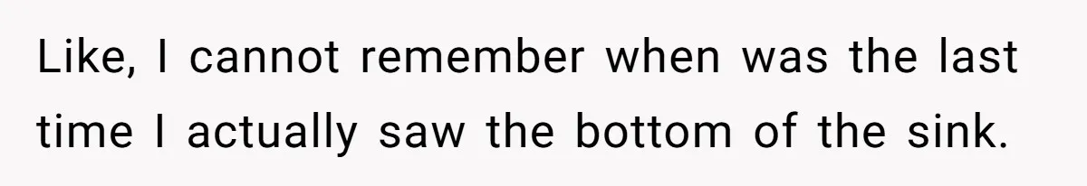Roommates Leave The Kitchen A Mess, So She Decides To Feed The Ants Before Moving Out Like, I cannot remember when was the last time I actually saw the bottom of the sink.