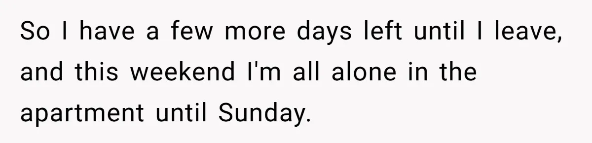 Roommates Leave The Kitchen A Mess, So She Decides To Feed The Ants Before Moving Out So I have a few more days left until I leave, and this weekend I'm all alone in the apartment until Sunday.