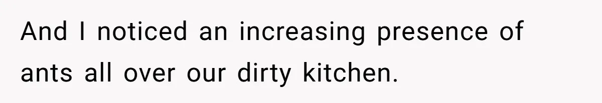 Roommates Leave The Kitchen A Mess, So She Decides To Feed The Ants Before Moving Out And I noticed an increasing presence of ants all over our dirty kitchen.