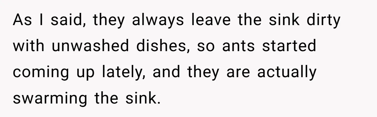 Roommates Leave The Kitchen A Mess, So She Decides To Feed The Ants Before Moving Out As I said, they always leave the sink dirty with unwashed dishes, so ants started coming up lately, and they are actually swarming the sink.