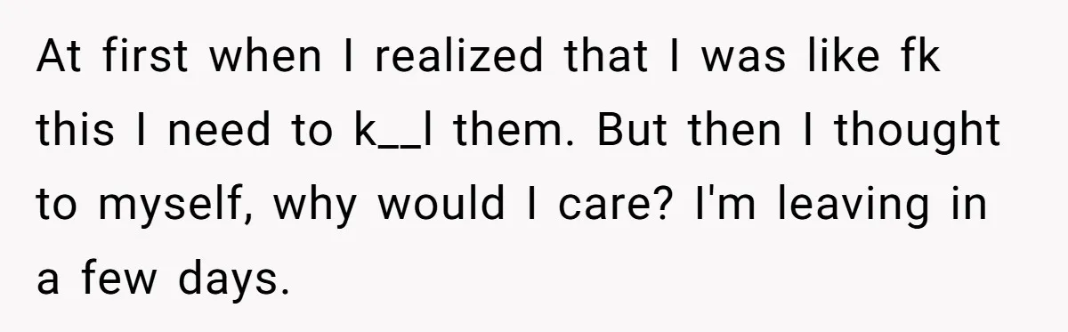 Roommates Leave The Kitchen A Mess, So She Decides To Feed The Ants Before Moving Out At first when I realized that I was like fk this I need to k__l them. But then I thought to myself, why would I care? I'm leaving in a...