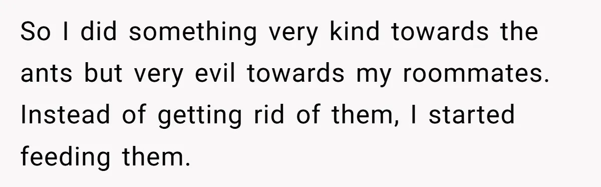 Roommates Leave The Kitchen A Mess, So She Decides To Feed The Ants Before Moving Out So I did something very kind towards the ants but very evil towards my roommates. Instead of getting rid of them, I started feeding them.