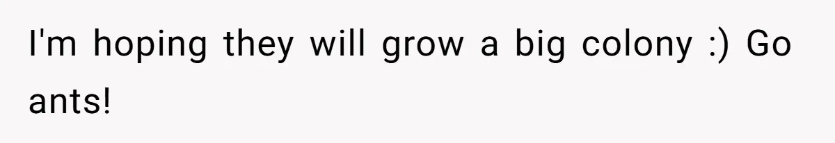 Roommates Leave The Kitchen A Mess, So She Decides To Feed The Ants Before Moving Out I'm hoping they will grow a big colony :) Go ants!