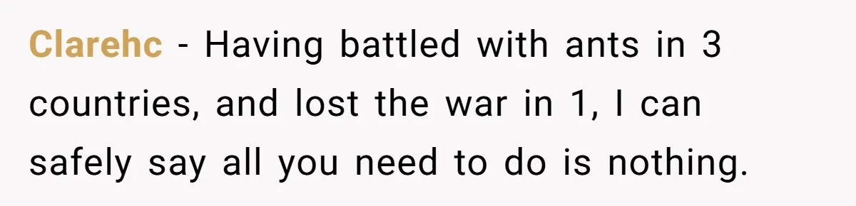 Roommates Leave The Kitchen A Mess, So She Decides To Feed The Ants Before Moving Out Clarehc − Having battled with ants in 3 countries, and lost the war in 1, I can safely say all you need to do is nothing.