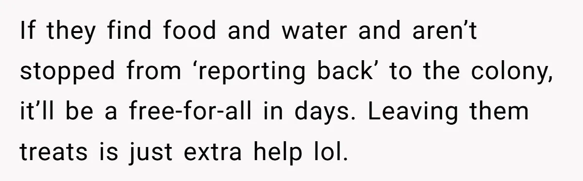 Roommates Leave The Kitchen A Mess, So She Decides To Feed The Ants Before Moving Out If they find food and water and aren’t stopped from ‘reporting back’ to the colony, it’ll be a free-for-all in days. Leaving them treats is just extra help lol.