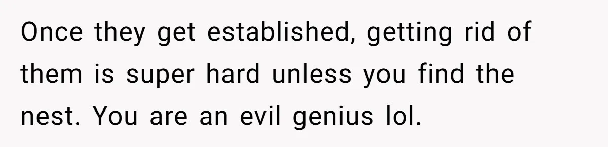 Roommates Leave The Kitchen A Mess, So She Decides To Feed The Ants Before Moving Out Once they get established, getting rid of them is super hard unless you find the nest. You are an evil genius lol.