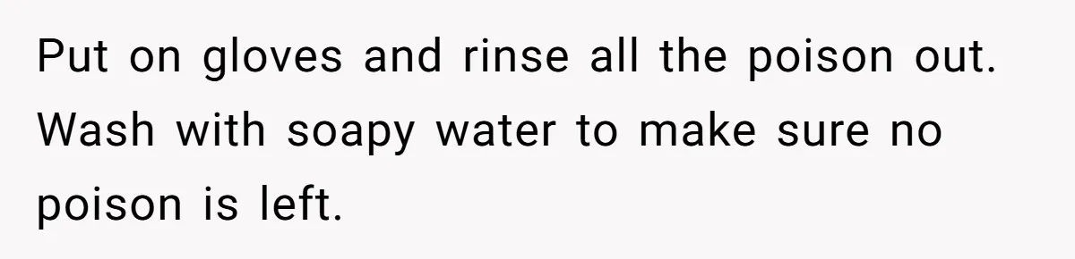 Roommates Leave The Kitchen A Mess, So She Decides To Feed The Ants Before Moving Out Put on gloves and rinse all the poison out. Wash with soapy water to make sure no poison is left.