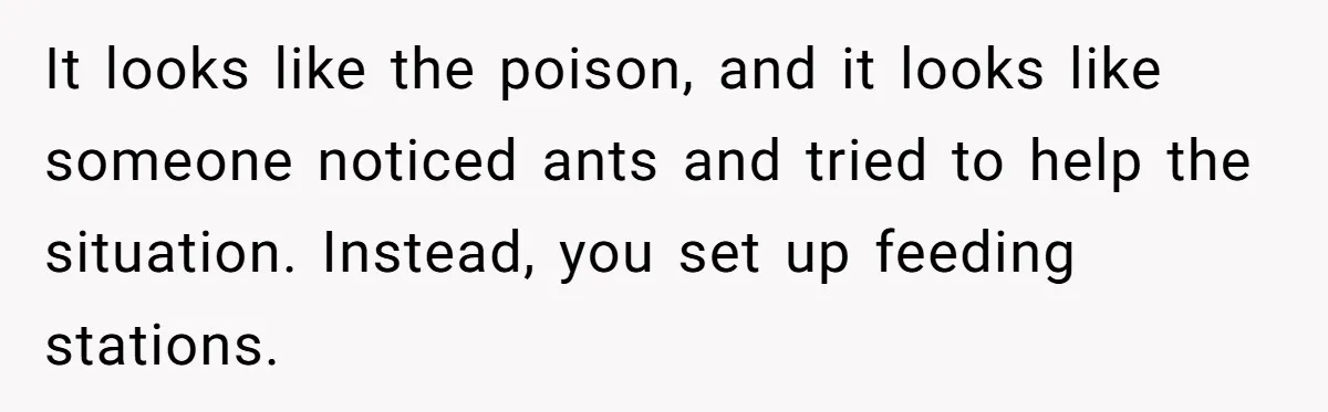 Roommates Leave The Kitchen A Mess, So She Decides To Feed The Ants Before Moving Out It looks like the poison, and it looks like someone noticed ants and tried to help the situation. Instead, you set up feeding stations.